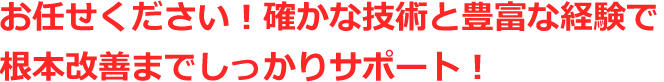お任せ下さい！確かな技術と豊富な経験で根本改善までしっかりサポート