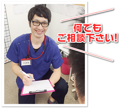 ノビアス整骨院相談の写真